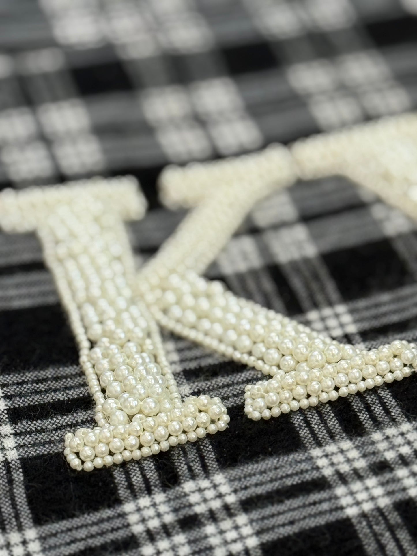 Tiana Designs Fall/Winter Cozy Tote