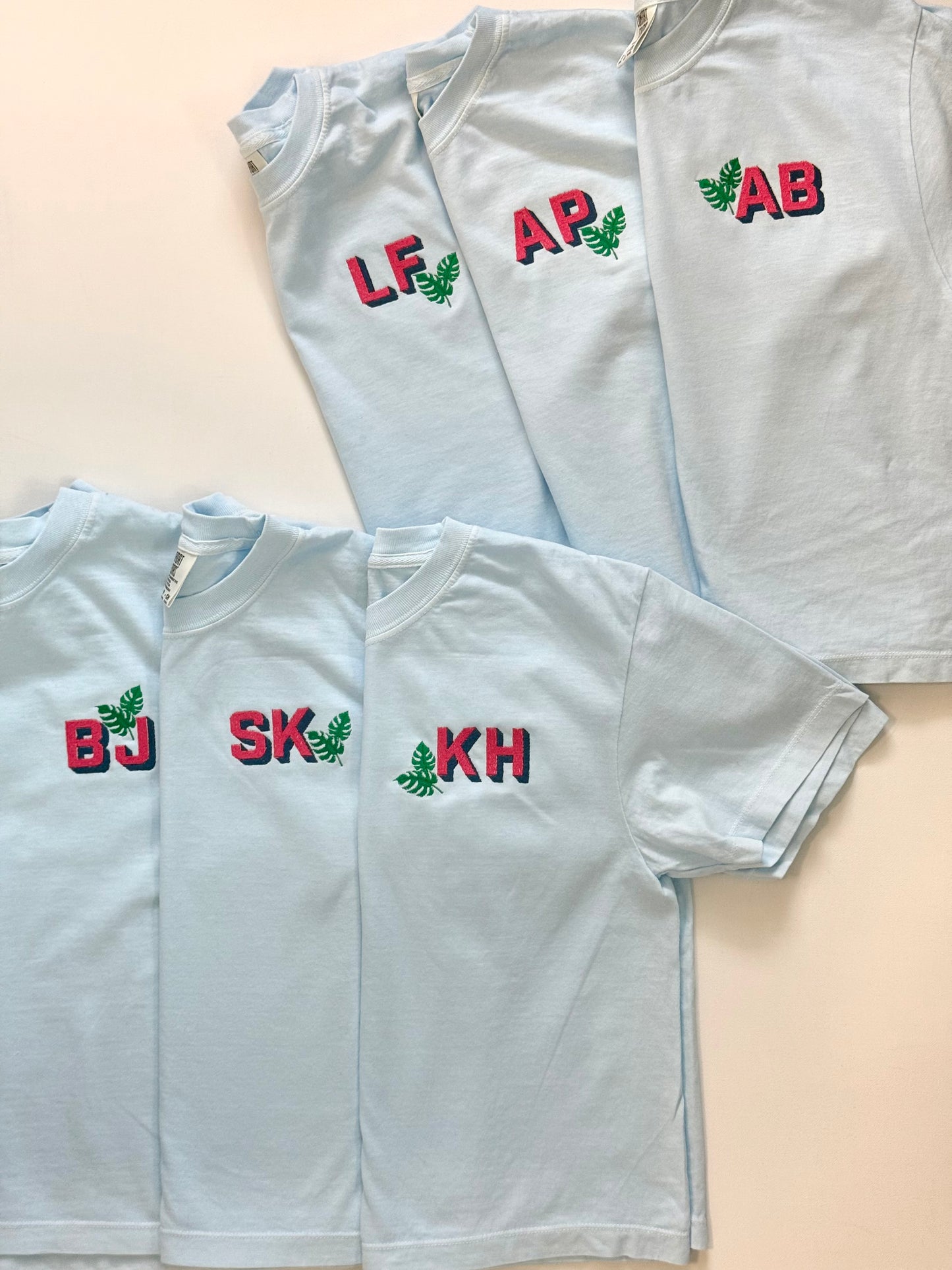 Women’s Crew Neck Crop-ish Tee