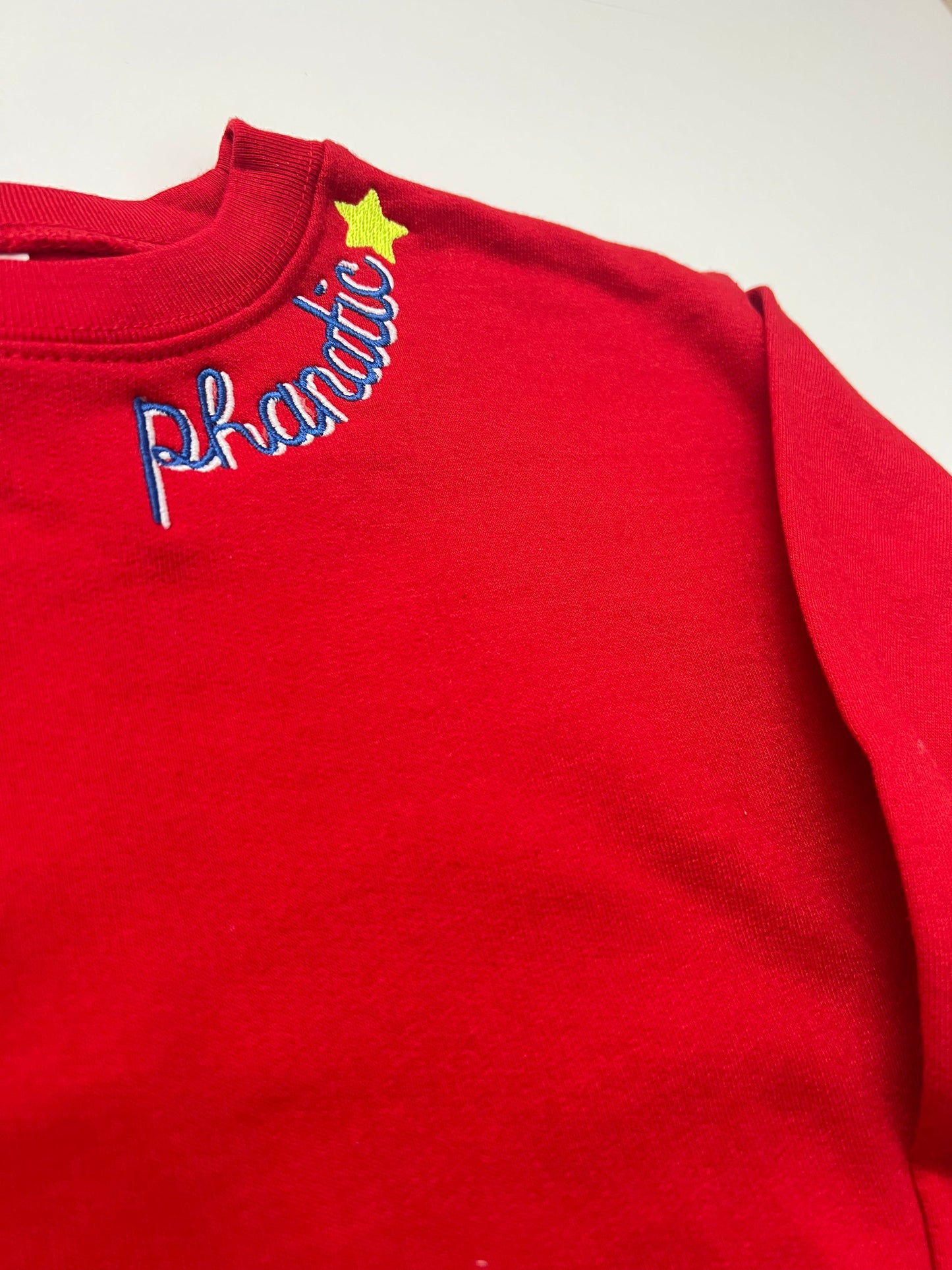 Toddler & Little Kid Red Crew Neck Sweatshirt